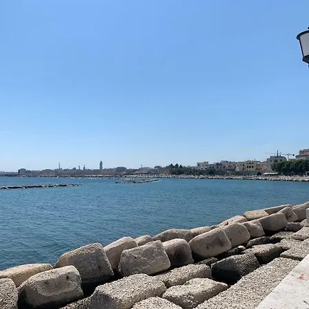 Mea House And 2019 Pensión